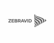 zebravid logo sponsor for red strawberry
